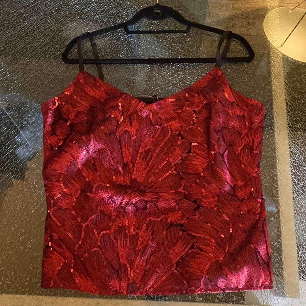 Beautiful new “party “ camisole